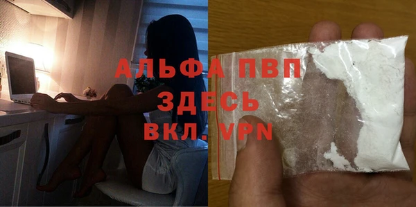 гашик Дмитриев