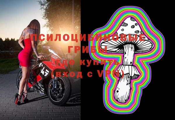 стафф Елабуга