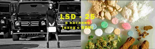гашик Дмитриев