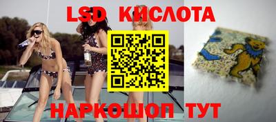 прущие грибы Гусев