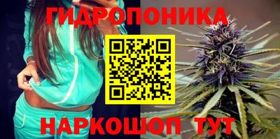 прущие грибы Гусев