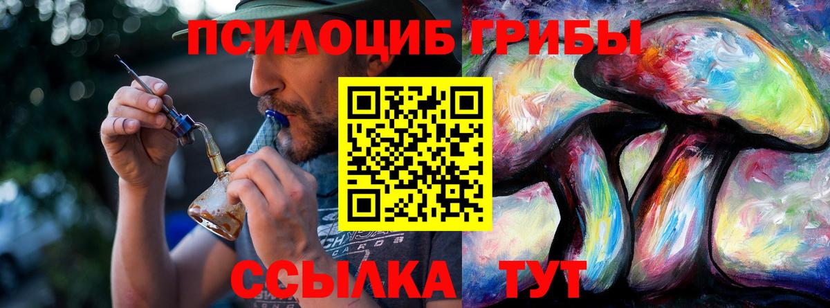 Кушва  Псилоцибиновые грибы Cubensis  Вход с VPN 